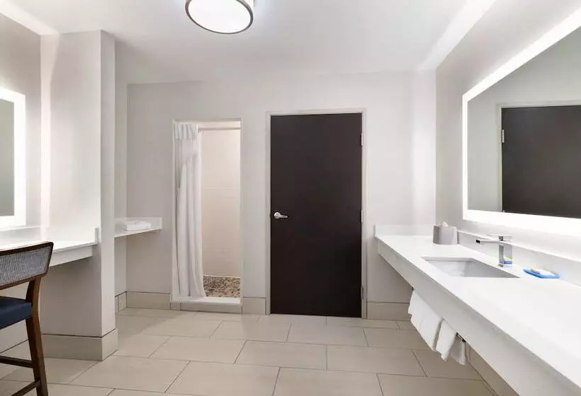スイート, Holiday Inn Express Hotel & Suites Auburn University Area, An Ihg