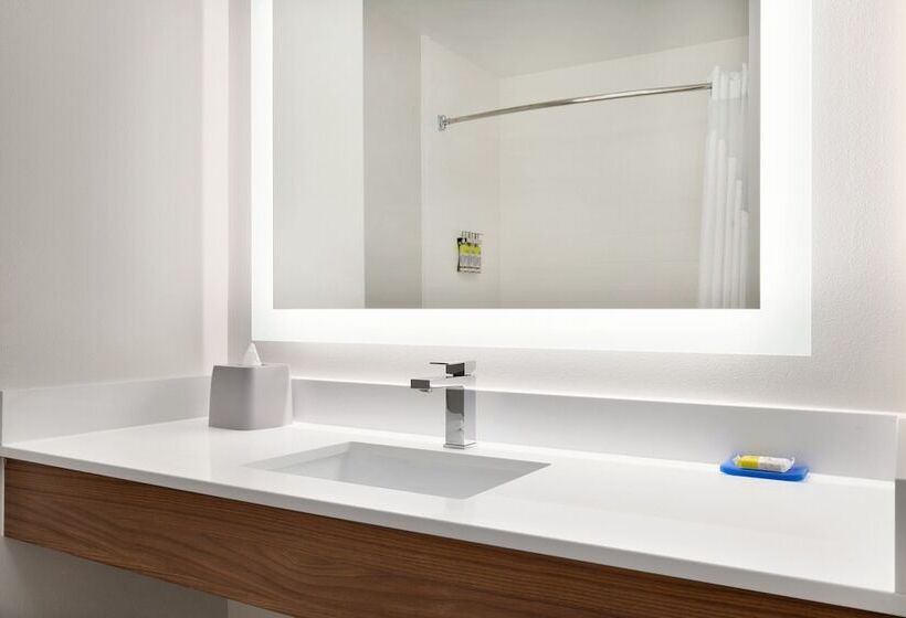 Люкс, Holiday Inn Express Hotel & Suites Auburn   University Area, An Ihg