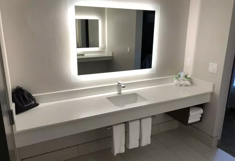 スイート, Holiday Inn Express Hotel & Suites Auburn University Area, An Ihg