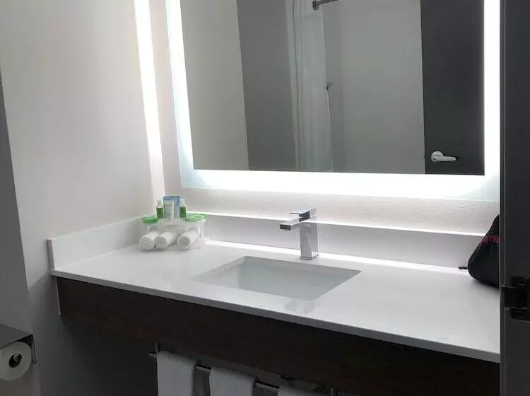 スイート, Holiday Inn Express Hotel & Suites Auburn University Area, An Ihg