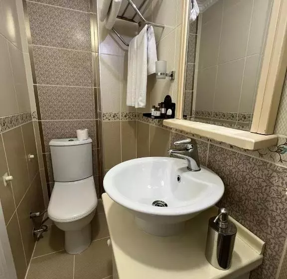 اتاق اکونومی, Aldem