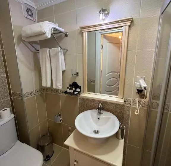 اتاق اکونومی, Aldem