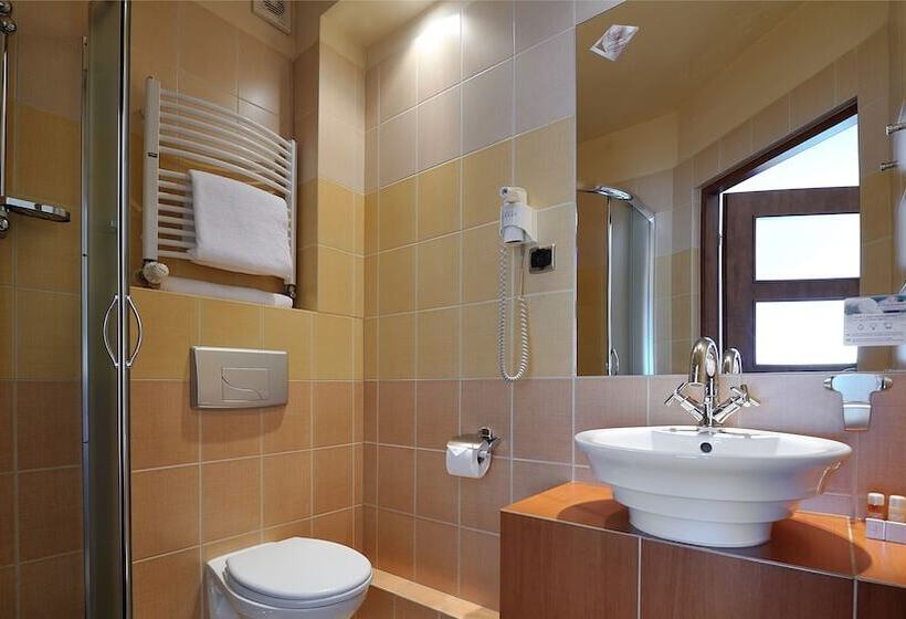 اتاق استاندارد, Diament Vacanza Katowice  Siemianowice
