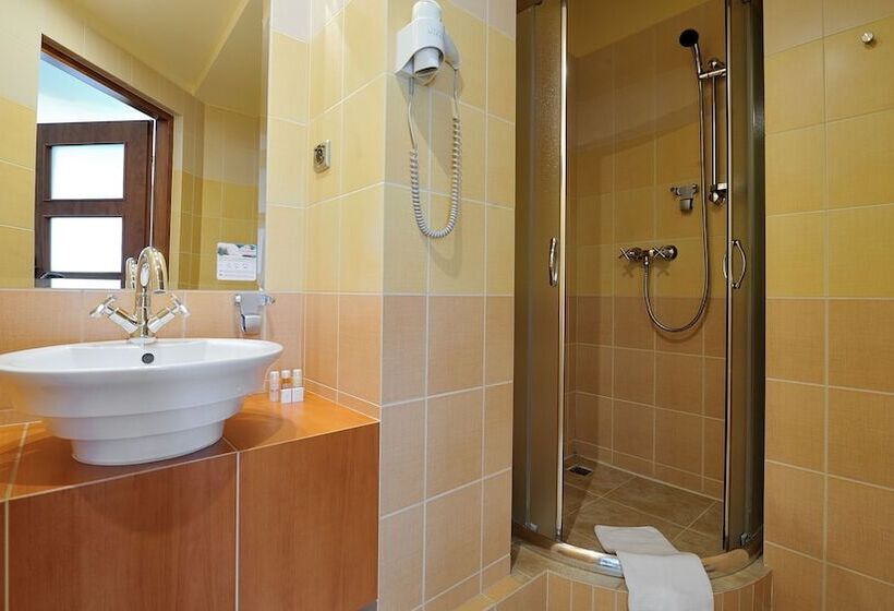 חדר אקזקיוטיב, Diament Vacanza Katowice  Siemianowice