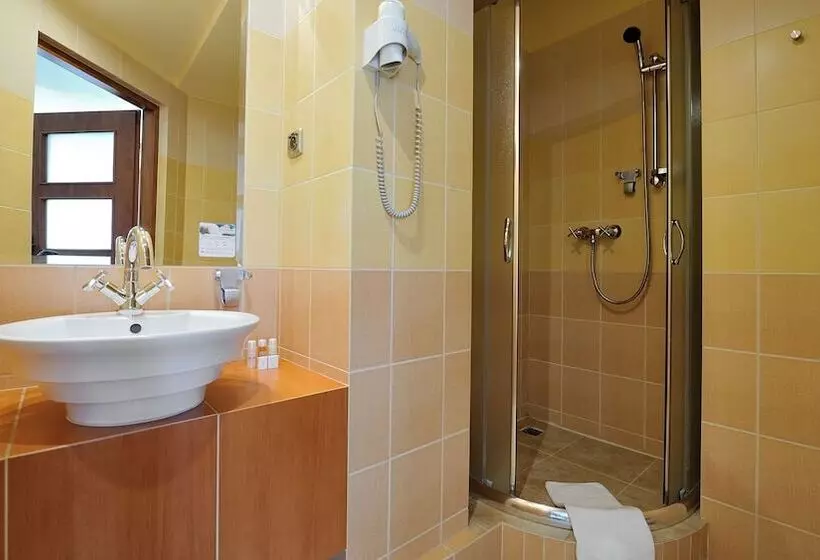 エクゼクティブルーム, Diament Vacanza Katowice  Siemianowice