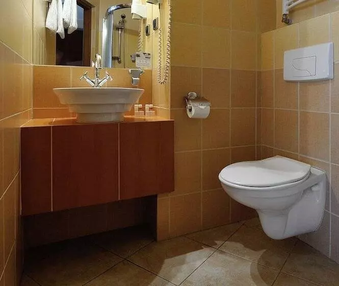 エクゼクティブルーム, Diament Vacanza Katowice  Siemianowice