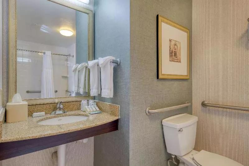 キングサイズベッドのスタンダードルーム, Hilton Garden Inn Durham Southpoint