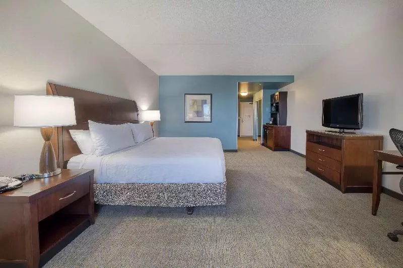キングサイズベッドのスタンダードルーム, Hilton Garden Inn Durham Southpoint
