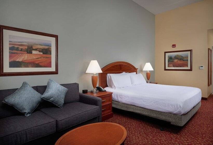 Номер Стандарт Кровать Кинг Адаптированный для Инвалидов, Hilton Garden Inn Newport News