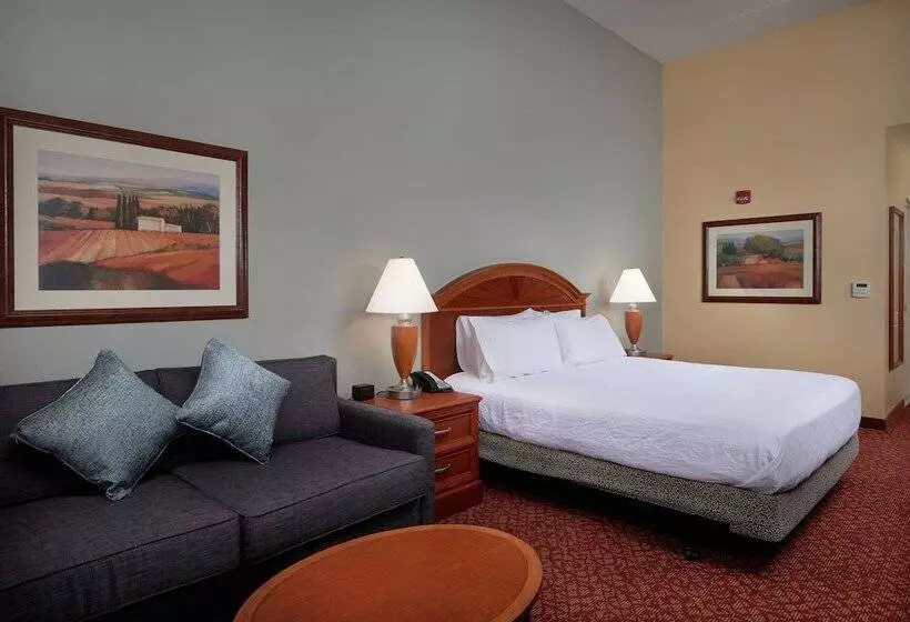 اتاق استاندارد با تخت بزرگ برای معلولان, Hilton Garden Inn Newport News