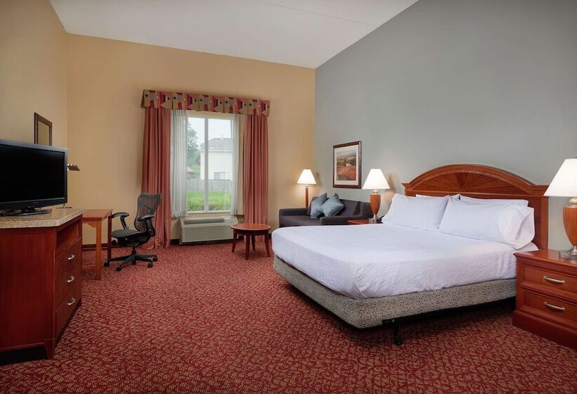 장애인을 위한 킹사이즈 침대 스탠다드 룸, Hilton Garden Inn Newport News