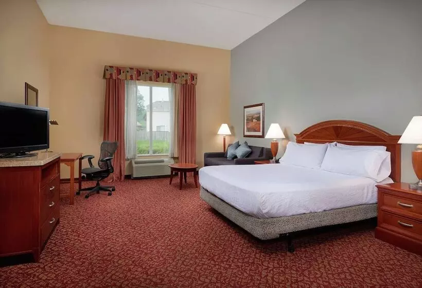اتاق استاندارد با تخت بزرگ برای معلولان, Hilton Garden Inn Newport News