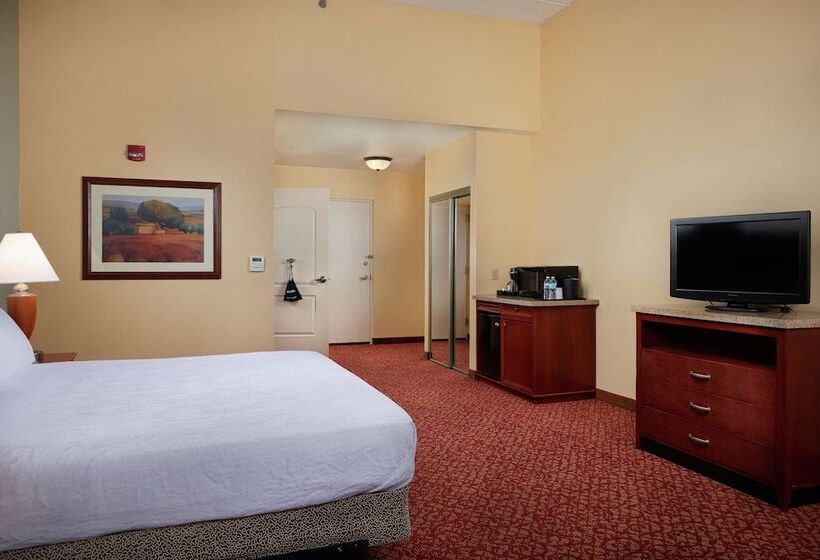 장애인을 위한 킹사이즈 침대 스탠다드 룸, Hilton Garden Inn Newport News