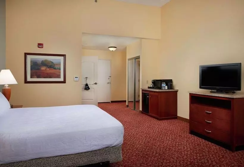 اتاق استاندارد با تخت بزرگ برای معلولان, Hilton Garden Inn Newport News