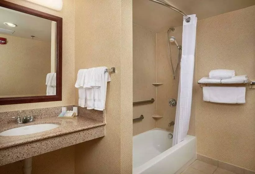 اتاق استاندارد با تخت بزرگ برای معلولان, Hilton Garden Inn Newport News
