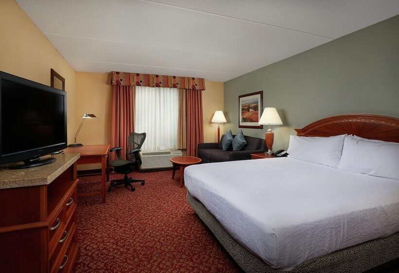 Стандартный Номер Кровать Кинг, Hilton Garden Inn Newport News