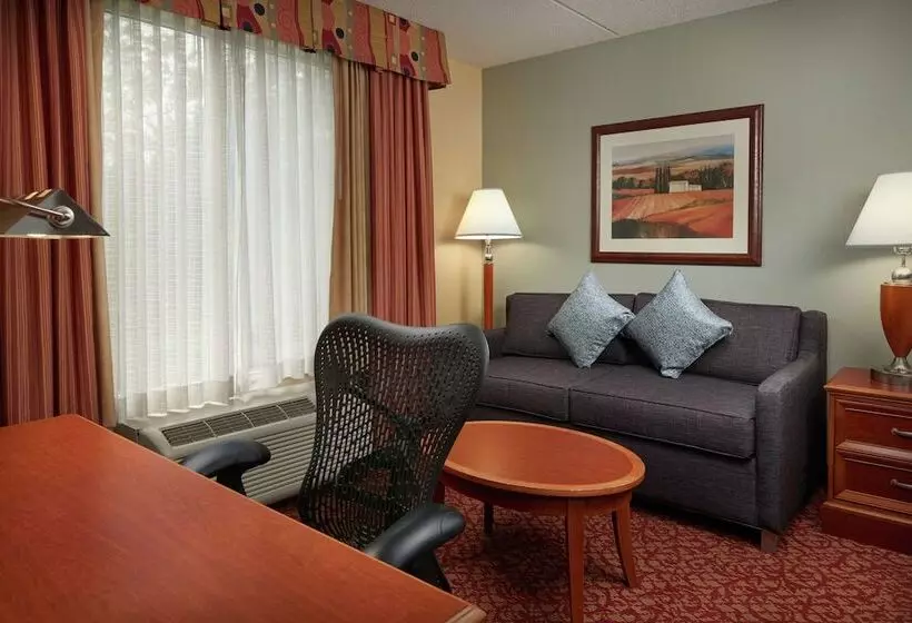 اتاق استاندارد با تخت بزرگ, Hilton Garden Inn Newport News