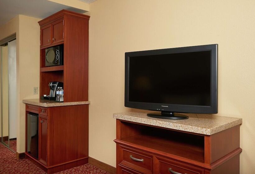 스탠다드 룸 킹사이즈 침대, Hilton Garden Inn Newport News