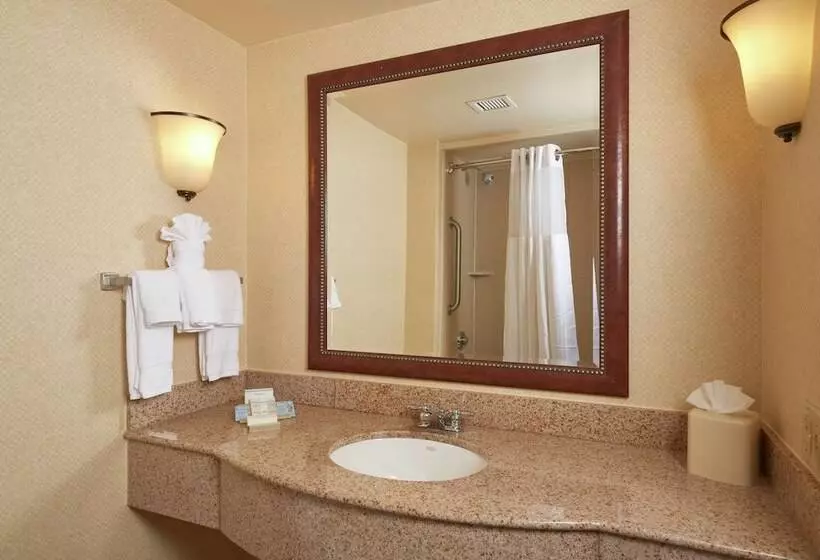 اتاق استاندارد با تخت بزرگ, Hilton Garden Inn Newport News