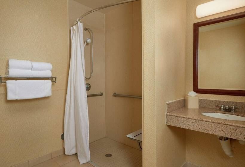Номер Стандарт Кровать Кинг Адаптированный для Инвалидов, Hilton Garden Inn Newport News