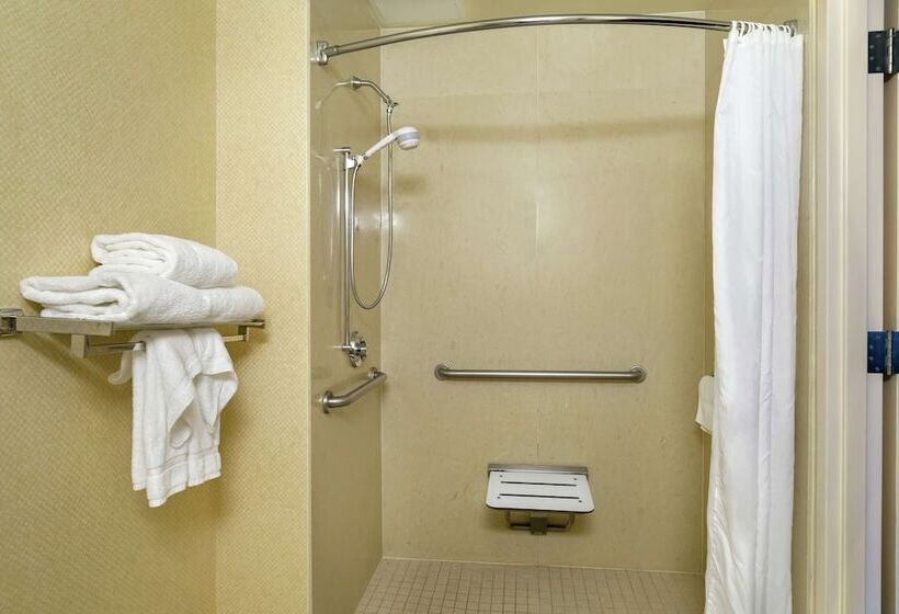 장애인을 위한 킹사이즈 침대 스탠다드 룸, Hilton Garden Inn Newport News