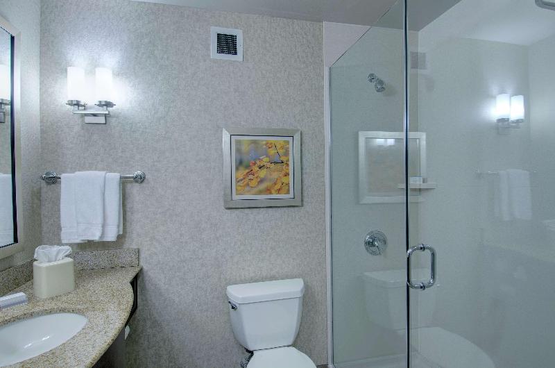 Стандартный Номер Кровать Кинг, Hilton Garden Inn Norwalk