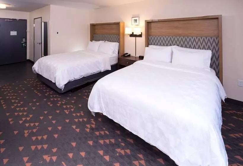 اتاق استاندارد با 2 تخت دوبل, Holiday Inn & Suites Ann Arbor Univ Michigan Area By Ihg