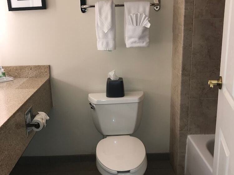 סוויטה מותאמת לאדם עם מוגבלויות, Holiday Inn & Suites Ann Arbor Univ Michigan Area By Ihg