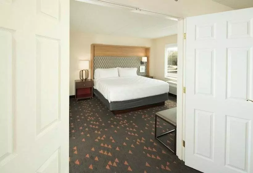 سوئیت برای معلولان, Holiday Inn & Suites Ann Arbor Univ Michigan Area By Ihg