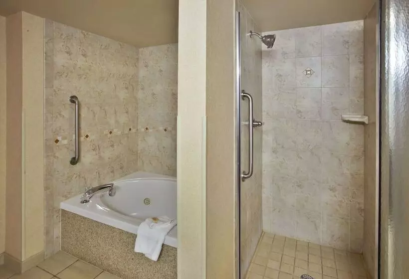 سوئیت برای معلولان, Holiday Inn & Suites Ann Arbor Univ Michigan Area By Ihg