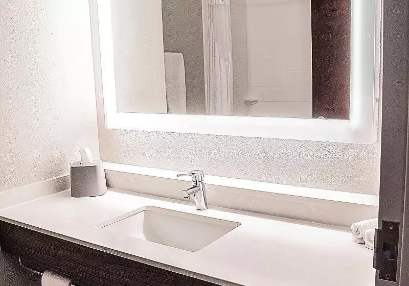 اتاق استاندارد با تخت بزرگ برای معلولان, Holiday Inn Express & Suites Alexandria, An Ihg