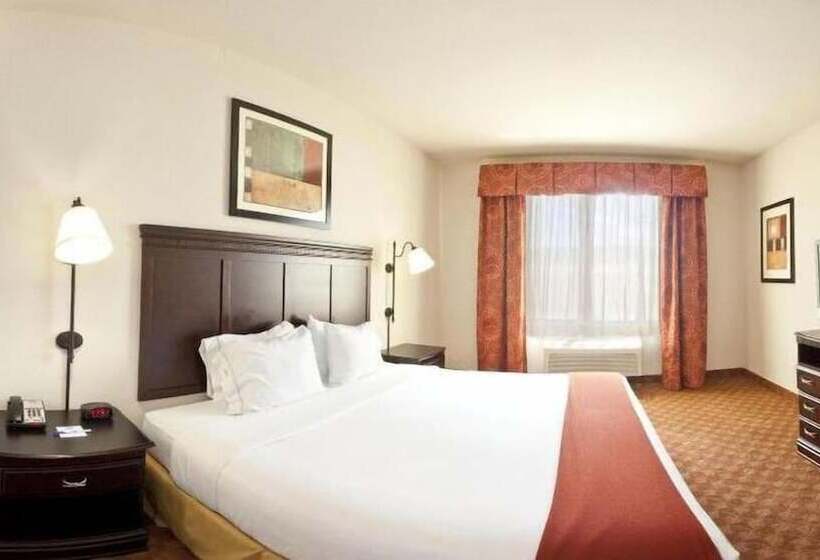 Süit, Holiday Inn Express Hotel And Suites Athens, An Ihg
