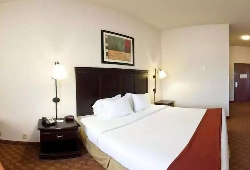 スイート, Holiday Inn Express Hotel And Suites Athens, An Ihg
