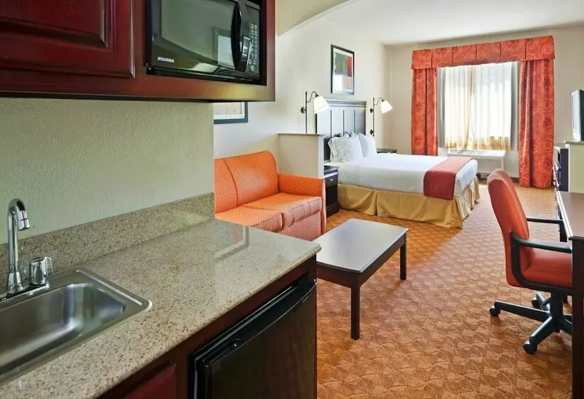身障者適用スイートルーム, Holiday Inn Express Hotel And Suites Athens, An Ihg
