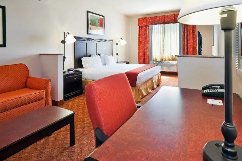 キングサイズベッドのスイートルーム, Holiday Inn Express Hotel And Suites Athens, An Ihg