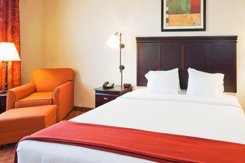 Engelliler için Büyük Çift Kişilik Yataklı Standart Oda, Holiday Inn Express Hotel And Suites Athens, An Ihg
