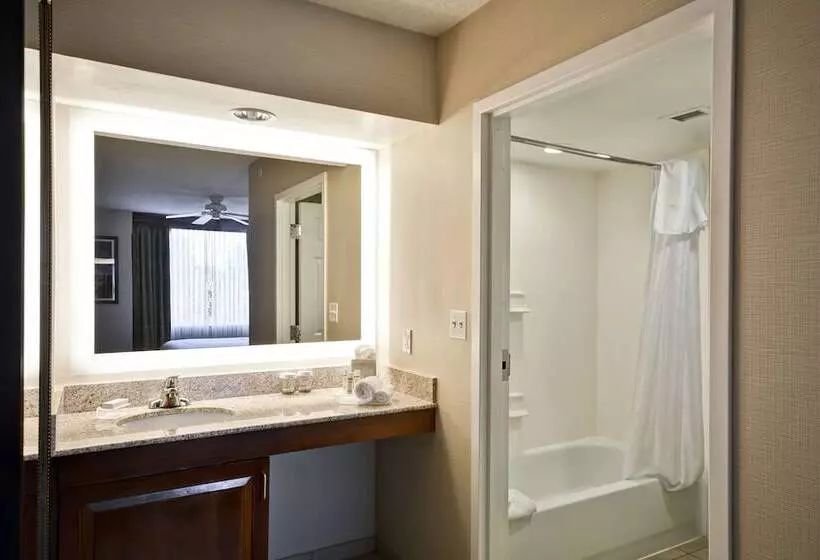 スイート, Homewood Suites By Hilton Dulles Int L Airport