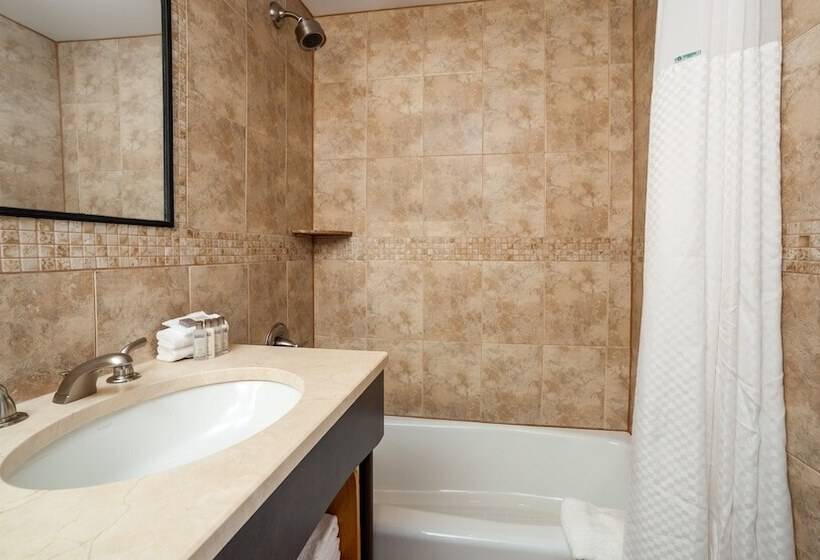 디럭스 룸 도시 전망, Mulberry