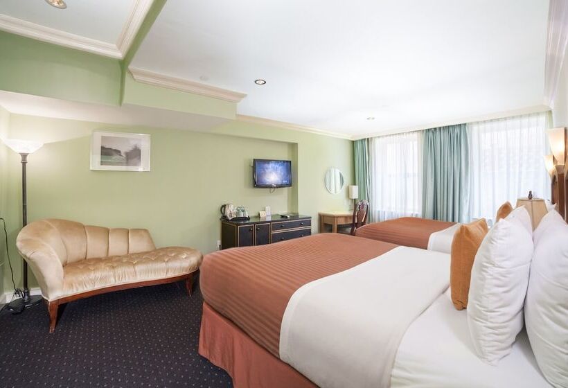 디럭스 룸, Mulberry