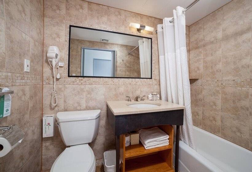 琮城市景观的豪华间, Mulberry