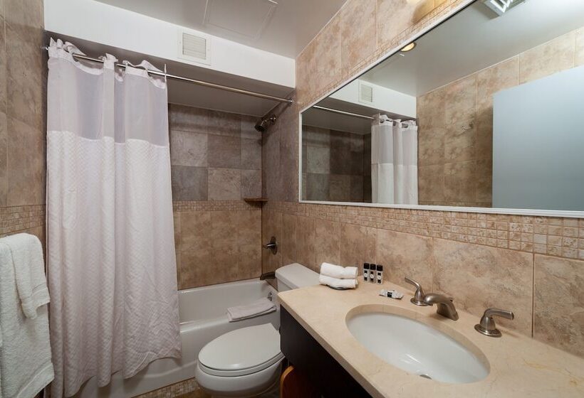 디럭스 룸, Mulberry