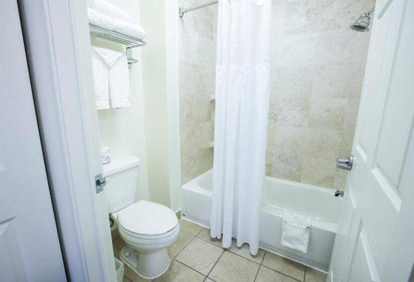 جناح سرير كينج, Staybridge Suites Austin Airport, An Ihg