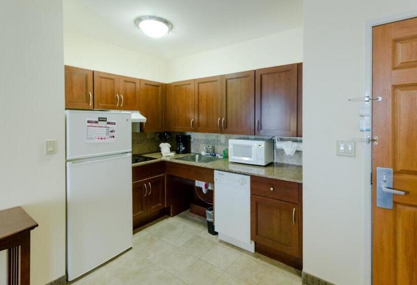 إستوديو قياسى, Staybridge Suites Austin Airport, An Ihg