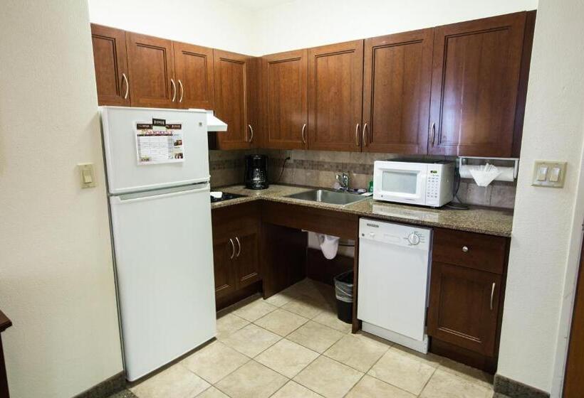 جناح لذوى الاحتياجات الخاصة, Staybridge Suites Austin Airport, An Ihg