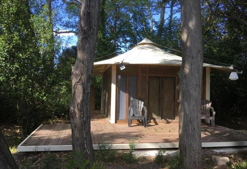 スタンダードバンガロー, Fontclaire En Provence