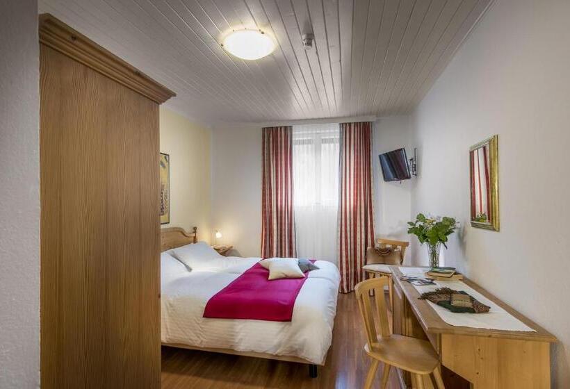 이코노미 룸, Bad Salomonsbrunn