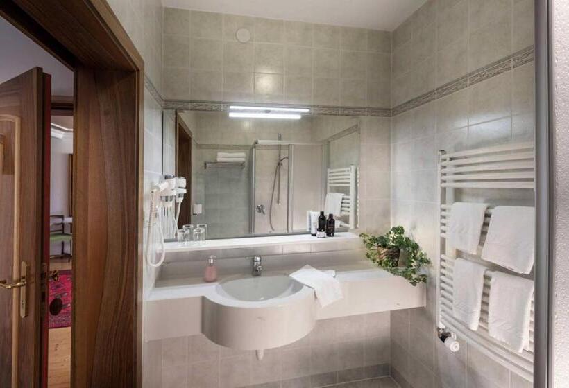 클래식 룸, Bad Salomonsbrunn