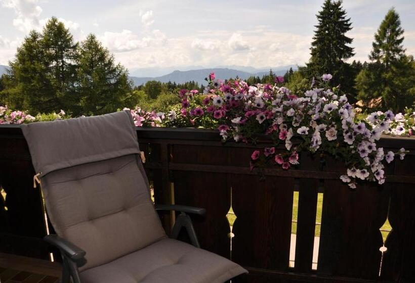 Номер Стандарт Индивидуальный с Балконом, Gasthof Wieser