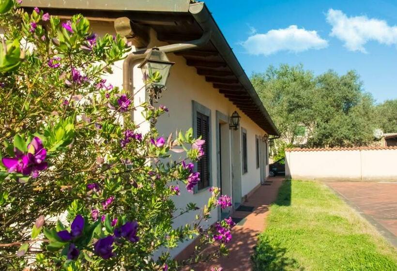 스탠다드 내측 룸, Quadrifoglio Roma Eur