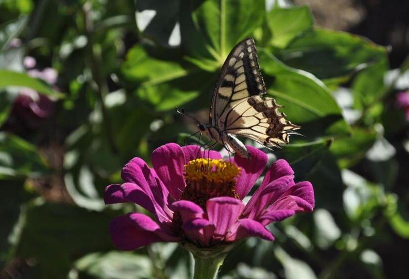 آپارتمان 1 خوابه, Tenuta Poggetti E Santa Laura